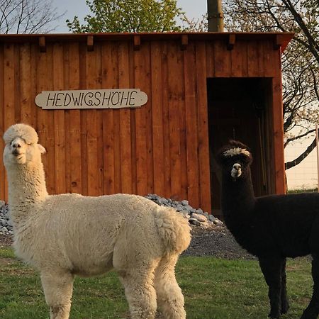 Urlaub Auf Dem Bauernhof Hedwigshoehe هونشتاين المظهر الخارجي الصورة